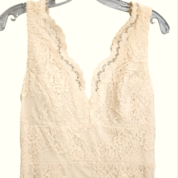 Nwt Nicole Miller Ny Blush Lace Sleeveless Evening Gown - Picture 7 of 17